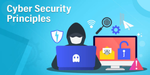 What Are the Main Principles of Cyber Security?